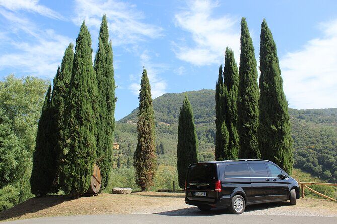 Tasting in a Tuscan Vineyard with transfer from Lucca - A Taste of Tuscany: Vineyard Visit and Wine Tasting from Lucca
