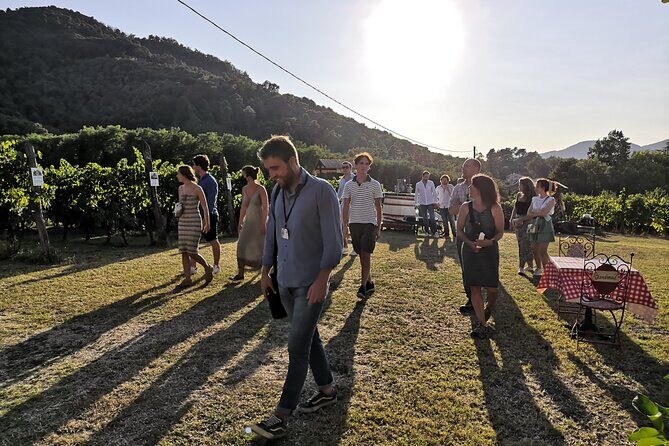 Tasting in a Tuscan Vineyard with transfer from Lucca - Final Thoughts