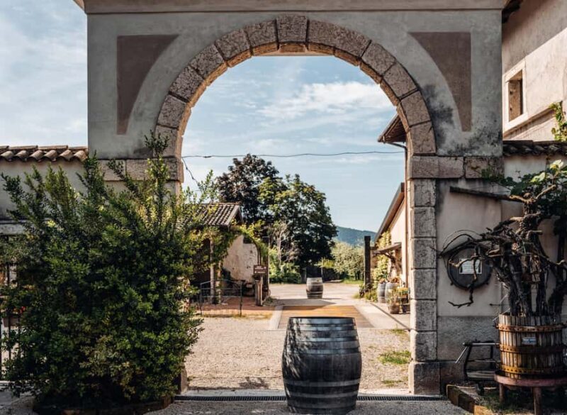 Tasting in the cellar, Caprino Veronese, Pesina - Exploring the Heart of Veneto’s Winemaking Tradition