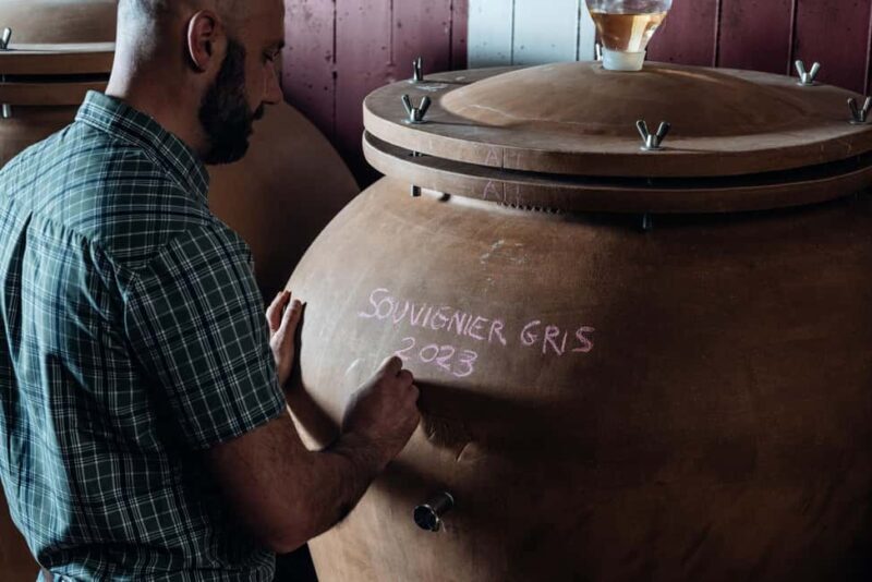 Tasting in the cellar, Caprino Veronese, Pesina - Final Thoughts: Who Will Love This Tour?