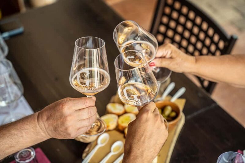 Tasting in the cellar, in Caprino Veronese, Pesina. - FAQs
