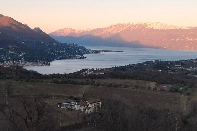 Tasting of 4 Valtenesi wines with local food in Salò - Who Should Consider This Tour?