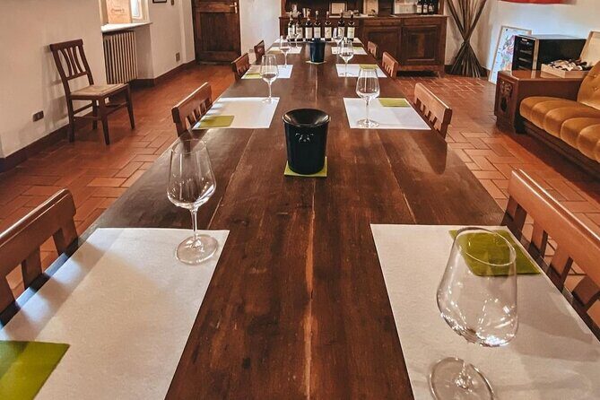 Tasting of 7 wines in the Langhe and visit to the cellar - The Sum Up