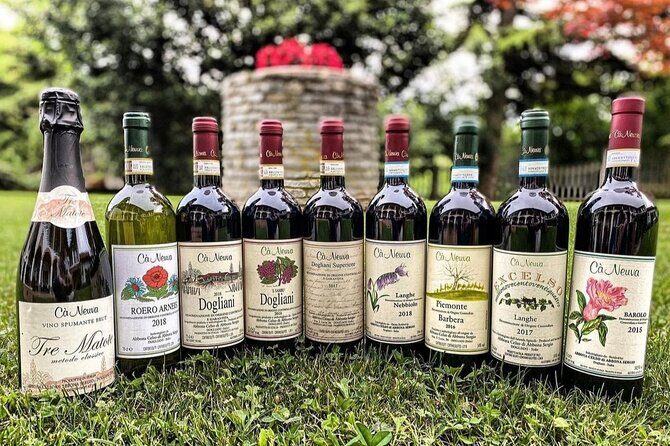 Tasting of 7 wines in the Langhe and visit to the cellar - FAQ