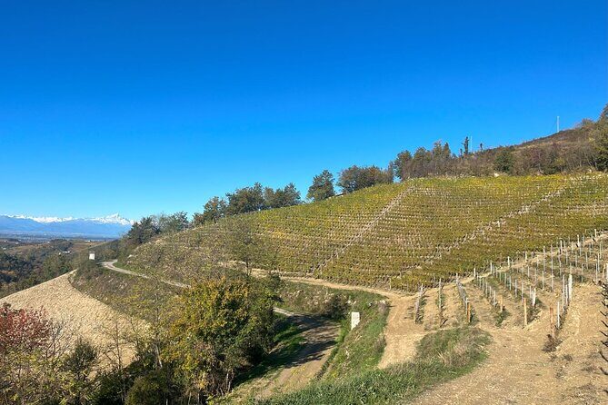Tasting of Classic Method Sparkling Wines - In-Depth Review: Discovering Elegance in Alta Langa