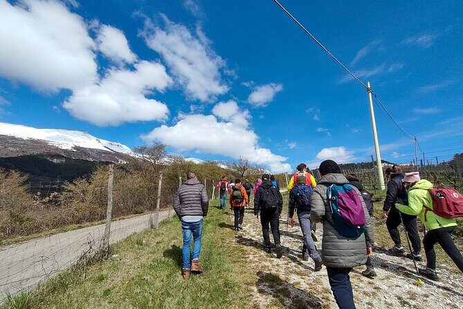 Tasting of Organic Mountain Wines with Vineyard and Cellar Tour - An In-depth Look at the Tour Experience