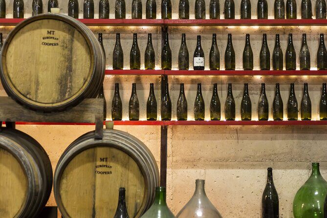 Tasting of Rosso Piceno DOC Superiore - Villa Pigna winery - Who Should Consider This Tour?