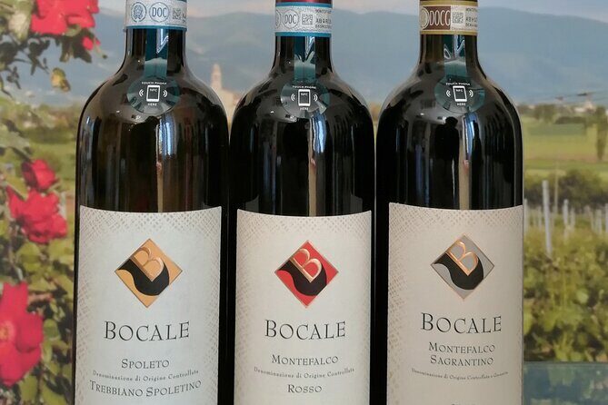 TASTING Selection of 3 wines in Montefalco - Discover the Authentic Flavors of Montefalco with a Wine Tasting Experience