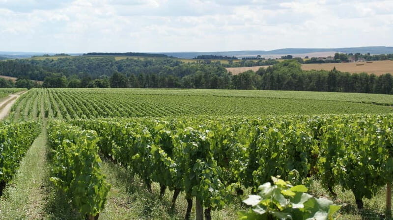 Tasting: Sparkling Discovery - Tasting: Sparkling Discovery – A Closer Look