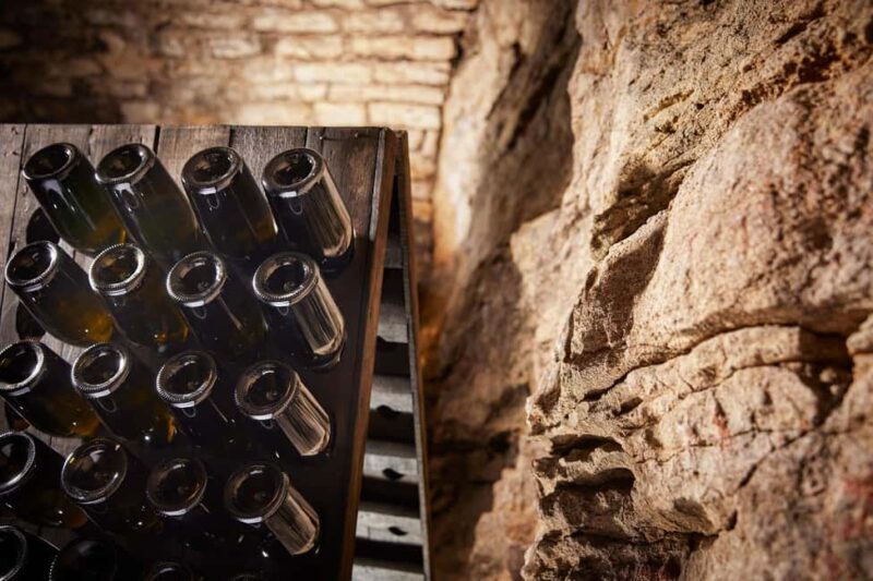 Tasting: Sparkling Discovery - Key Points