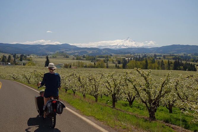 Tasting the Gorge by Ebike - Who Should Book This Tour?