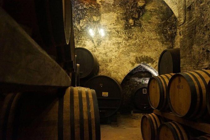 Tasting Tour in One of The Most Beautiful Cellars in the World - Exploring the Best of Montepulciano’s Wine Culture
