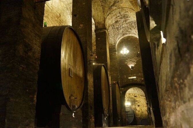 Tasting Tour in One of The Most Beautiful Cellars in the World - An In-Depth Look at the Experience
