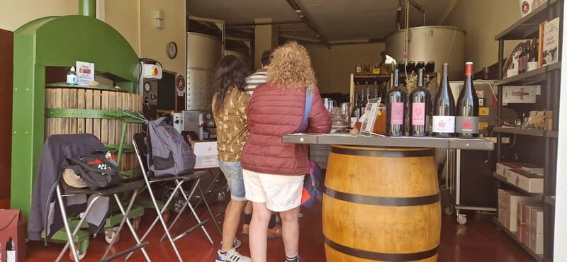 tasting wines in the vineyards with hotel pickup hotel - The Sum Up: The Right Choice for a Memorable Wine Day