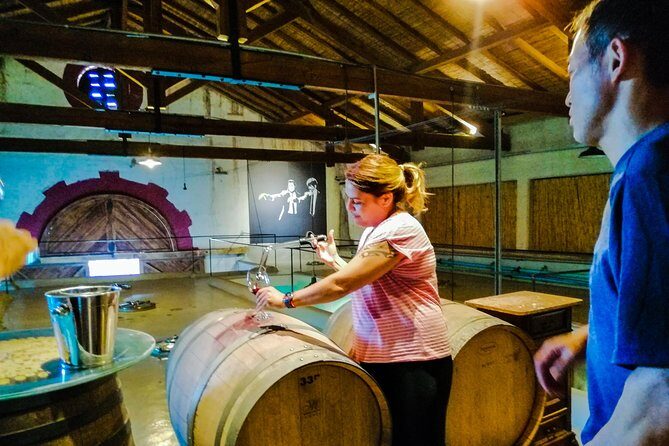 Tastings and lunch in Maipú! One of the oldest regions of Mendoza - Key Points