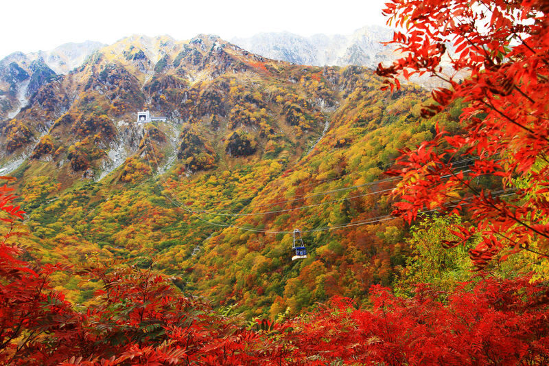Tateyama Kurobe Alpine Route Full-Day Discovery - What the tour costs, and what to clarify