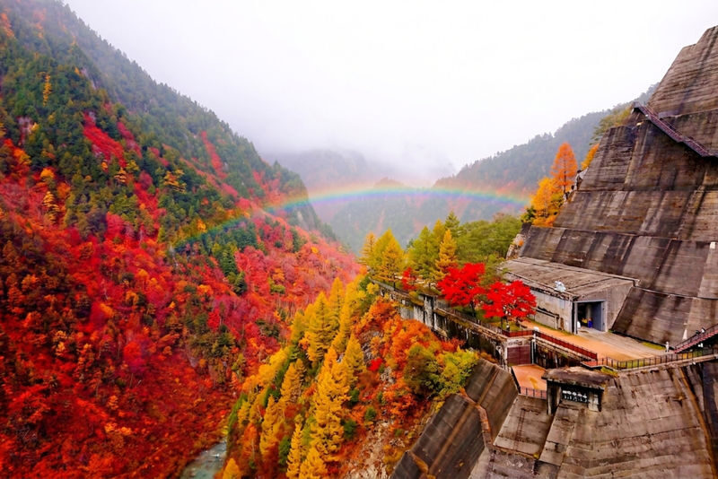 Tateyama Kurobe Alpine Route Full-Day Discovery - Who will enjoy this guided day
