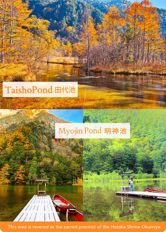 Tateyama Kurobe Autumn Foliage Two-Day Tour | Tateyama Kurobe Alpine Route & Hidden Gem Kamikochi Nature Exploration | Departing from Nagoya - Autumn timing, comfort, and the fine print