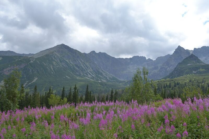 Tatras Mountains: Full-day Hiking Tour from Krakow - Key Points