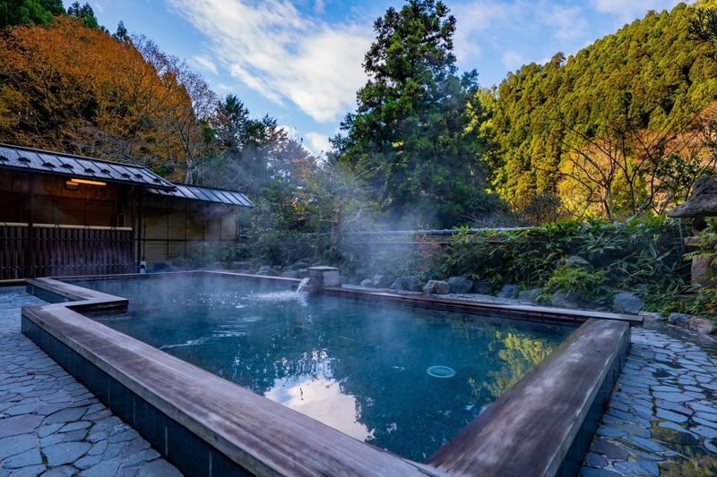 Tattoo-friendly: Kyoto Kurama Onsen Half-Day Wellness Tour with Udon - A guided way into Kurama’s bathing culture
