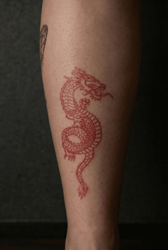Tattoo Session in Ueno, Tokyo: From Anime to Traditional Japanese - Private tattooing, with English aftercare