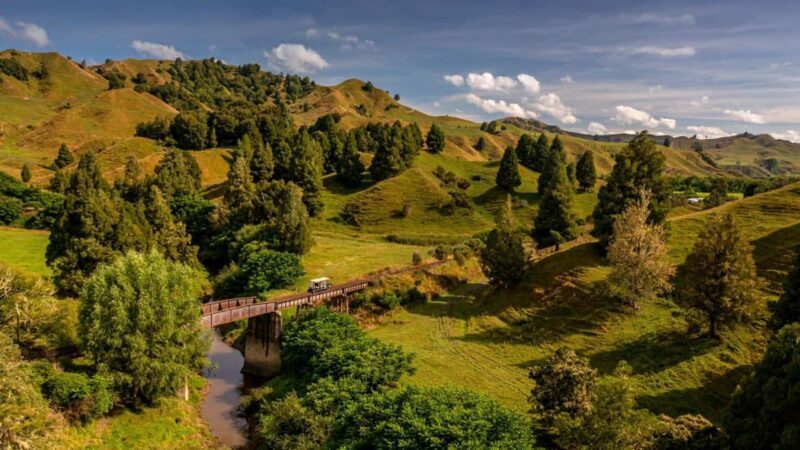 Taumarunui: Railcart and Jetboat Adventure with lunch - In-Depth Review of the Taumarunui Railcart and Jetboat Adventure