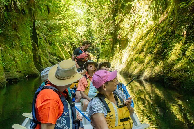 Tauranga Daytime Scenic Lake McLaren Tour - A Deep Dive into the Lake McLaren Experience