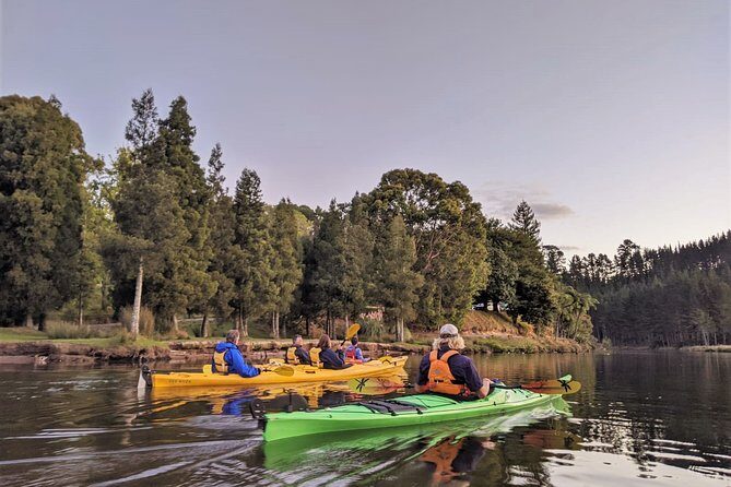 Tauranga: Evening Glowworm Kayak Tour - An In-Depth Look at the Tauranga Glowworm Kayak Tour