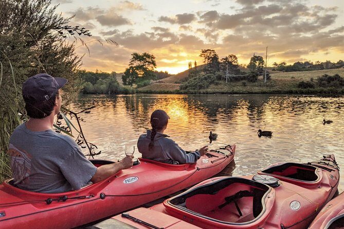 Tauranga: Evening Glowworm Kayak Tour - Final Thoughts