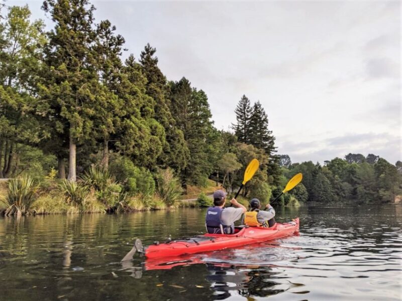 Tauranga: Evening Glowworm Kayak Tour - Practical Considerations