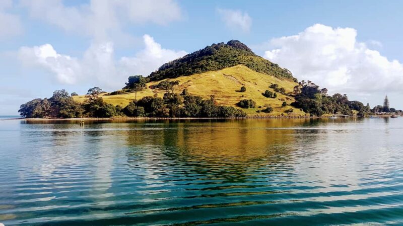 Tauranga Harbour Cruise - An In-Depth Look at the Tauranga Harbour Cruise