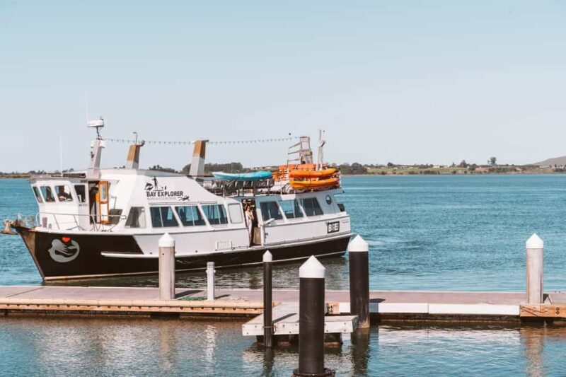 Tauranga Harbour Cruise - Who Would Love This Tour?