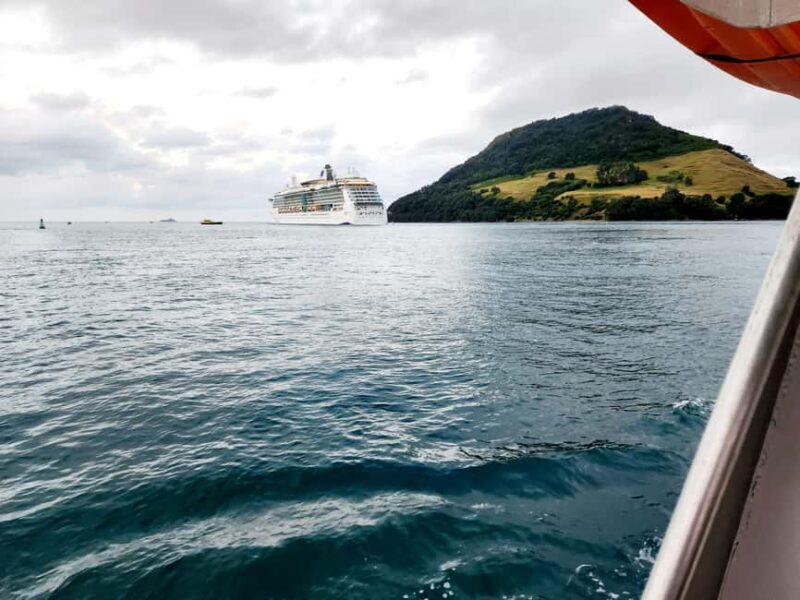 Tauranga Harbour Cruise - The Sum Up: Why This Cruise Is a Great Choice