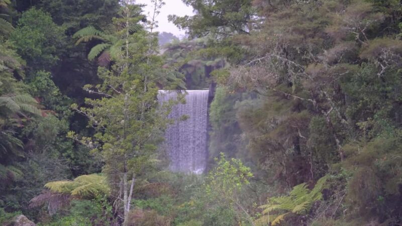 Tauranga: Kiwifruit Destination and Sights Shore Excursion - Practical Details & Tips