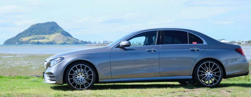 Tauranga: Kiwifruit Destination and Sights Shore Excursion - The Sum Up: Who Will Love This Tour?