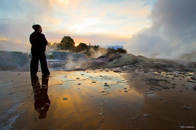 Tauranga Private Excursion: Rotorua -Te Puia-Geysers & Kiwi's - Key Points
