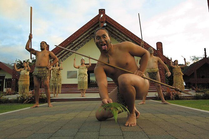 Tauranga Private Excursion: Rotorua -Te Puia-Geysers & Kiwi's - Rotorua’s Scenic and Cultural Highlights