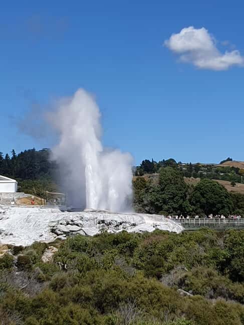 Tauranga: Rotorua Redwoods Tour & Maori Village Experience - Tauranga: Rotorua Redwoods Tour & Maori Village Experience