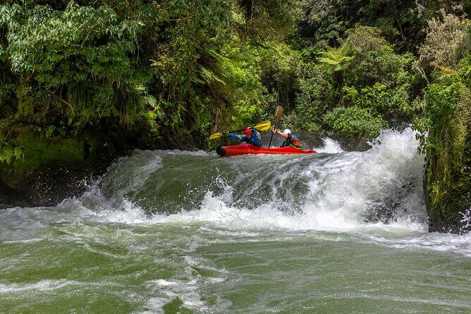 Tauranga Shore Excursion: Rotorua Highlights - What this tour offers and why it’s worth considering