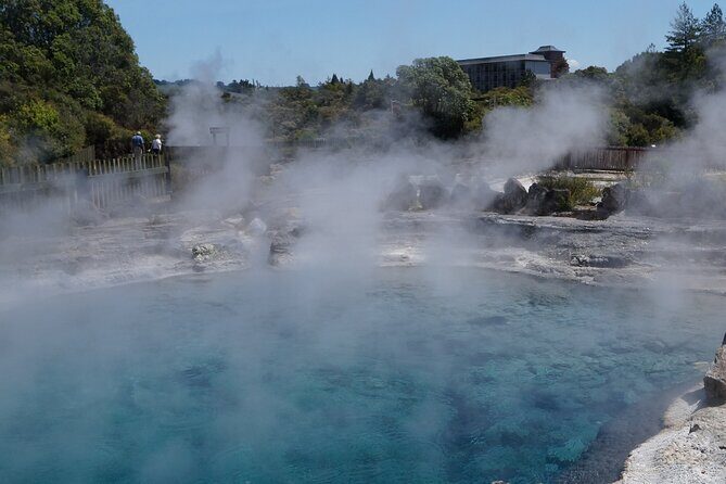 Tauranga Shore Excursion: Rotorua Highlights - The Journey Begins: From Tauranga to Rotorua