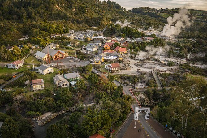 Tauranga Shore Excursion: Rotorua Highlights - The Redwood Forest: Majesty in the Trees