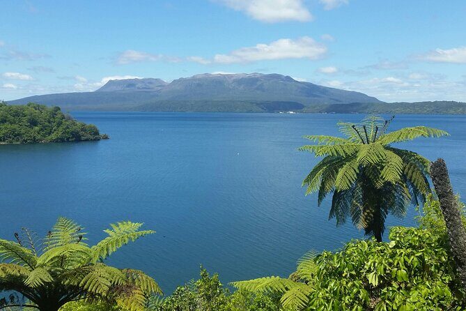 Tauranga Shore Excursion: Rotorua Highlights Tour - A Deep Dive into the Rotorua Highlights Tour