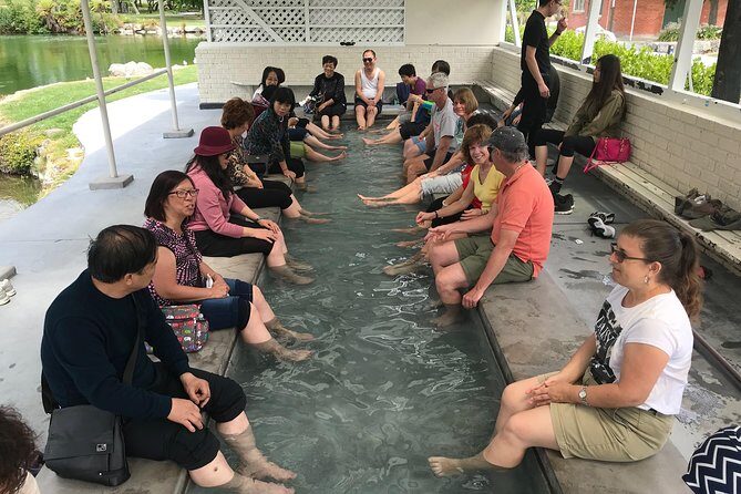 Tauranga Shore Excursion: Rotorua Tour including Gondola ride and fun Luge (opt) - Key Points