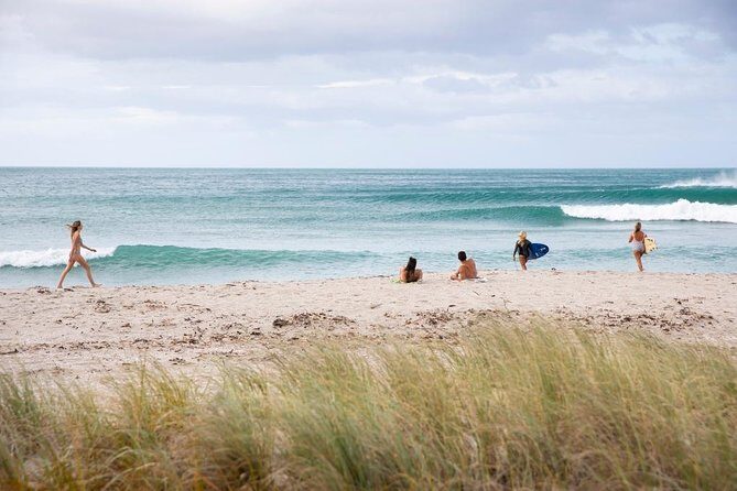 Tauranga Shore Excursion: Small-Group Bay of Plenty and Tauranga Tour - Key Points