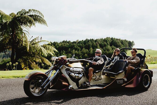 TAURANGA SHORE EXCURSION: V8 TRIKE - 1.5 hour City Sites - Who Will Love This Tour?