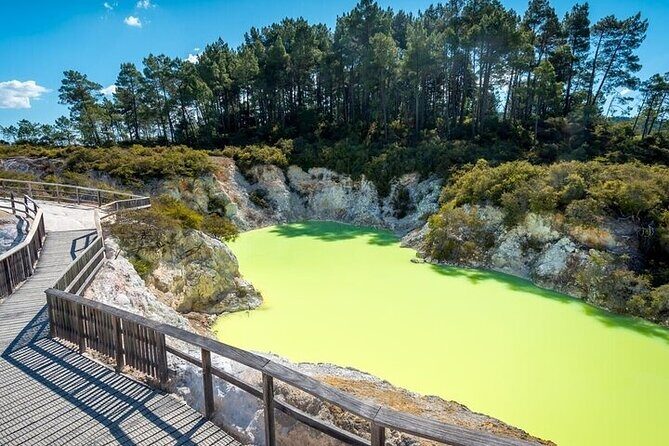 Tauranga Shore Excursion Wai-O-Tapu Thermal Wonderland - A Deep Dive into the Wai-O-Tapu Thermal Wonderland Tour