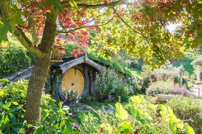 Tauranga to Magical Hobbiton Movie Set - Private Shore Excursion - Key Points