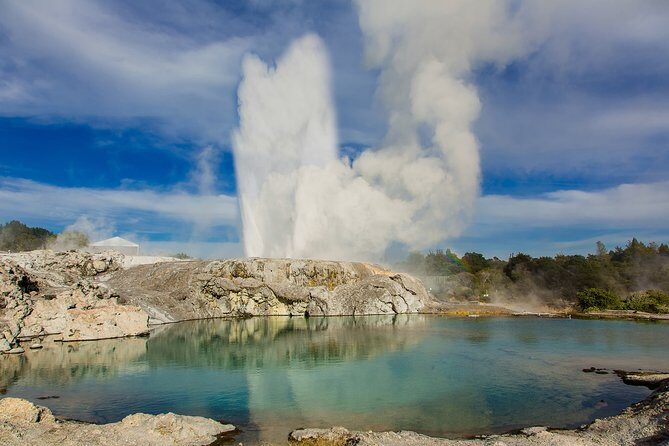 Tauranga to Rotorua Geysers & Canopy Tree Walk. Private Tour. - Who Should Consider This Tour?