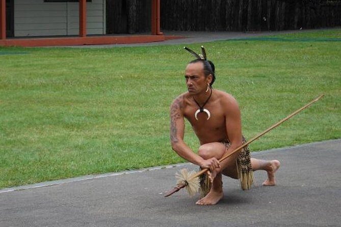 Tauranga to Rotorua. "Te Puia" Geysers. Private Shore Excursion - Why This Tour Works for You
