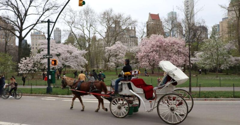 Tavern on the Green PickUp&DropOff With Horse Carriage Ride - An In-Depth Look at the Experience